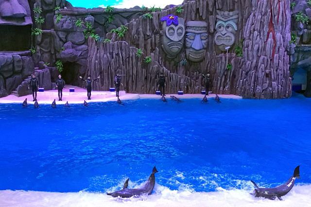 长隆珠海海洋王国网红打卡,珠海长隆海洋王国哪里买门票便宜