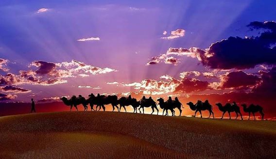 中国各省特产美食一览表,中国所有省份特产