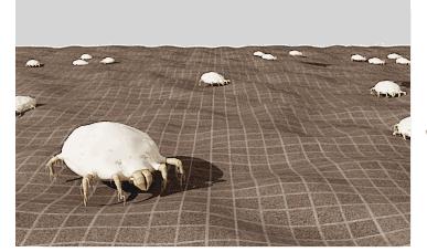 不用洗床单晒被子怎么除螨虫,螨虫去除妙招不用花露水