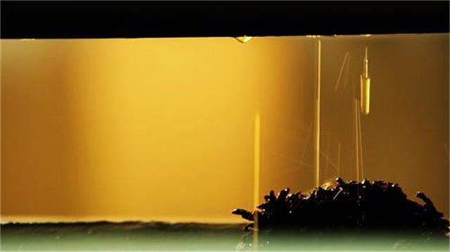 食用油的这些秘密大多数人不知道,食用油中的隐患你知道多少