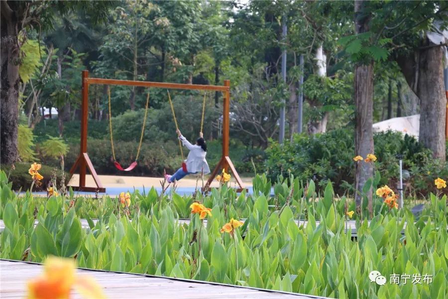 百里秀美邕江由计划变成现实,百里秀美邕江公园
