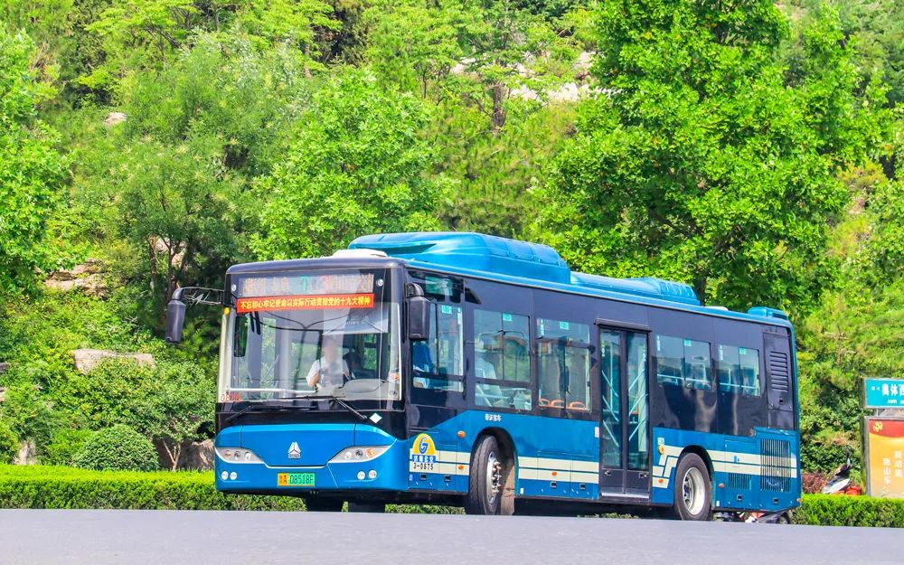 最新最全T线公交来袭!赖床也不怕迟到扣钱