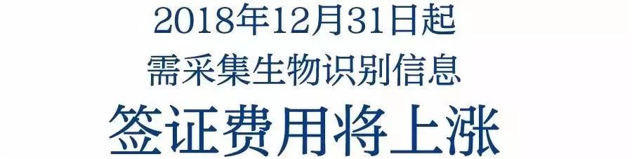 支付宝放大招锦鲤,支付宝发布大招