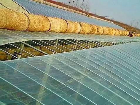 棚内湿度大除湿办法多,湿度大怎样排湿效果最好