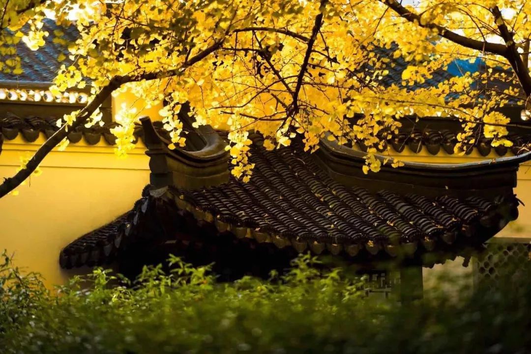 满城尽带黄金甲最美画面,满城尽带黄金甲拍摄地风景