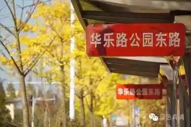 满城尽带黄金甲最美画面,满城尽带黄金甲拍摄地风景