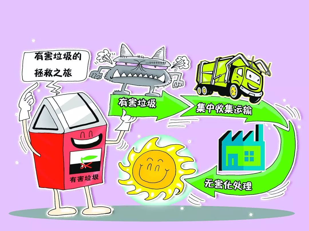 垃圾分类视角,垃圾分类的认知与行动