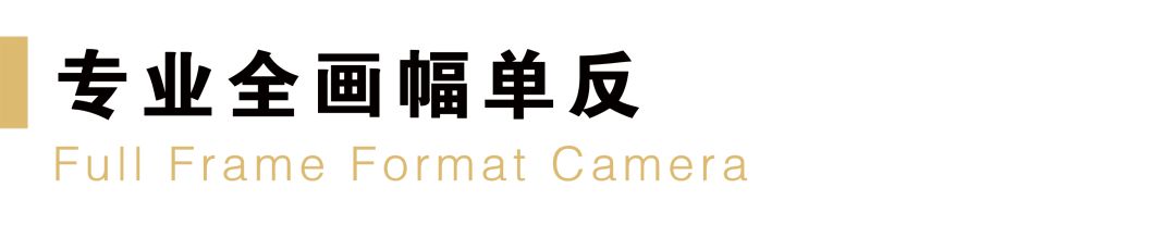 尼康值得入门的单反相机推荐,尼康最新款单反相机d780和d850