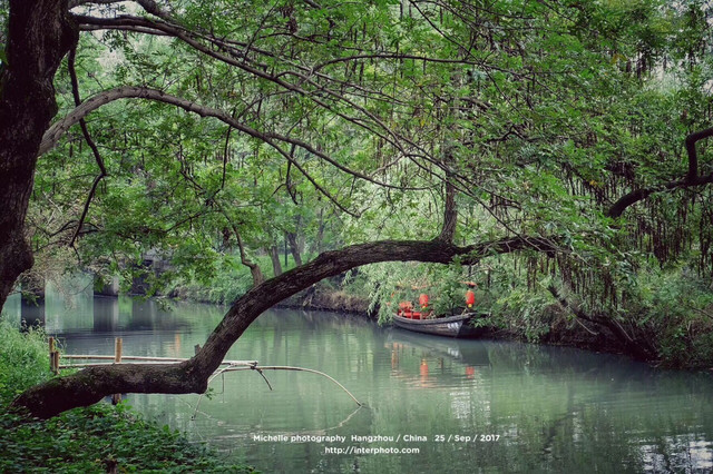 原生态风貌的西溪湿地公园