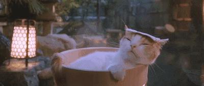 湛江海滨火山温泉景区,火山温泉广东