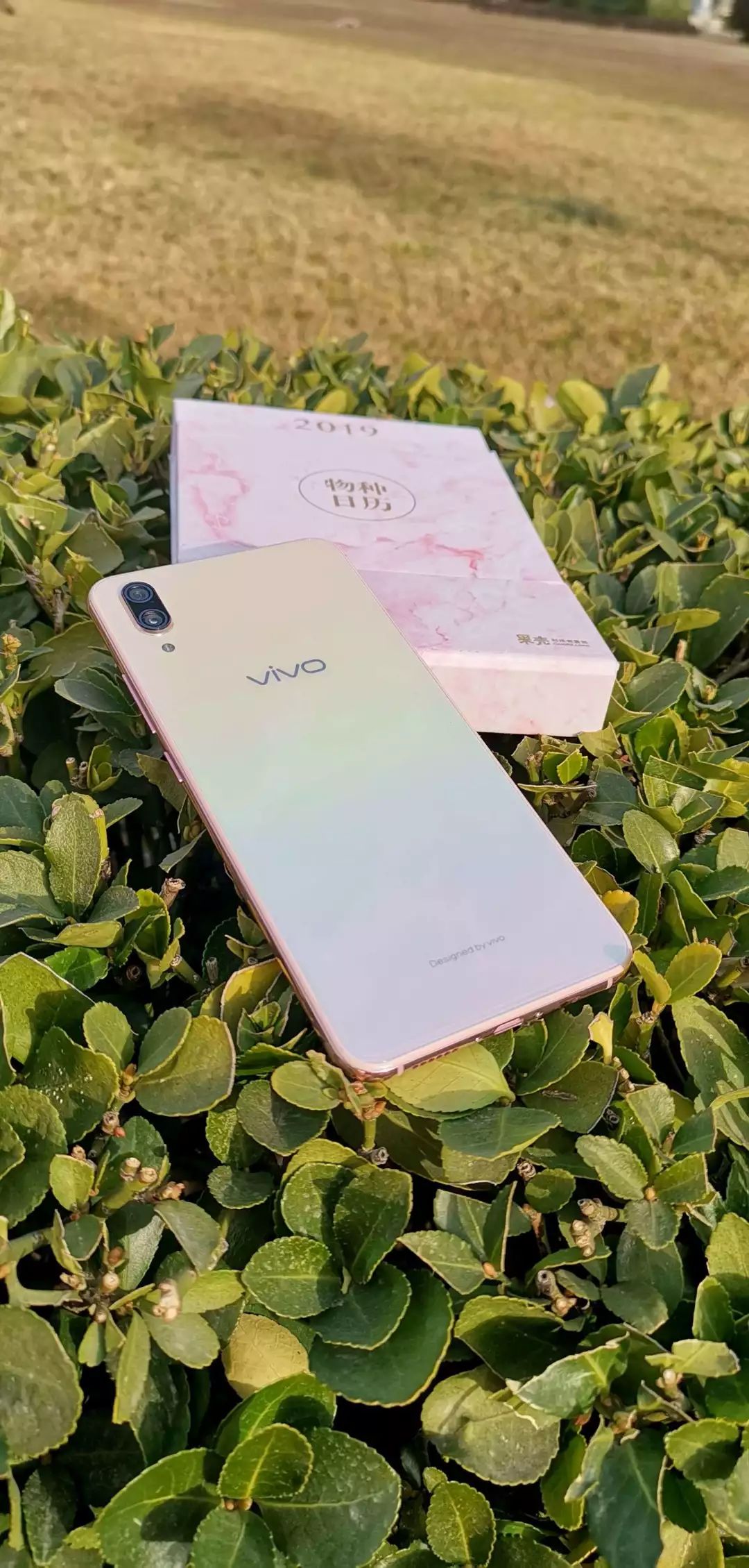 当男人学会了p图教程,p图你一看就会的神操作