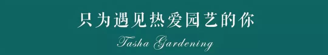 搴蜂箖棣╨ove,搴蜂箖棣╨ove缁勫悎