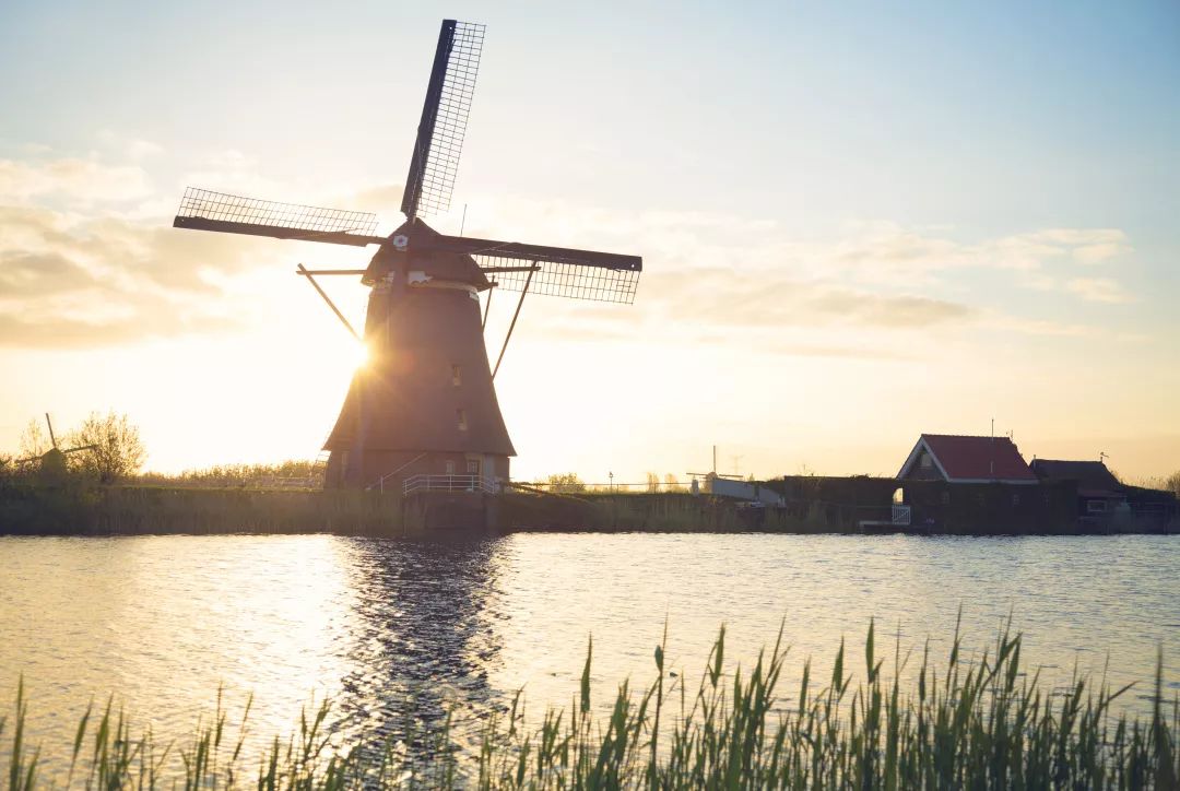 世界诱惑太多谁能坚持初心,晨读是最有价值的自律