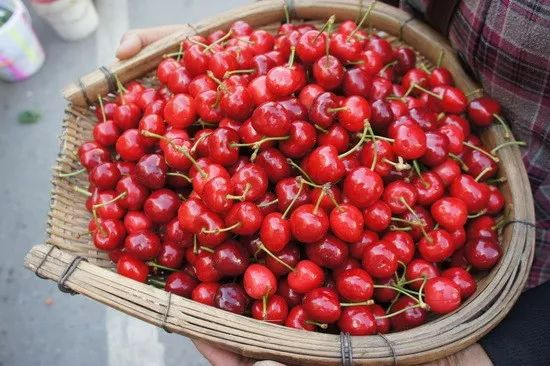 成都周边野花,成都周边花谷景区推荐