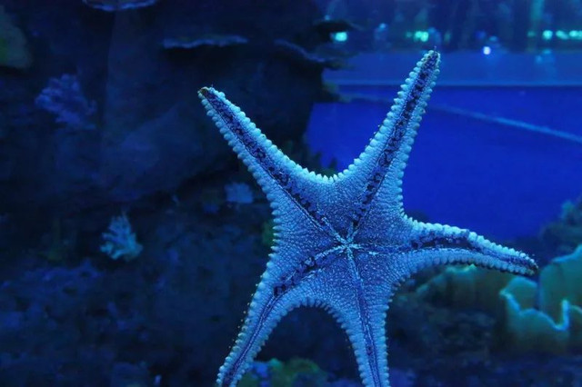 四川居然有一片蓝色海洋,成都蓝色海洋