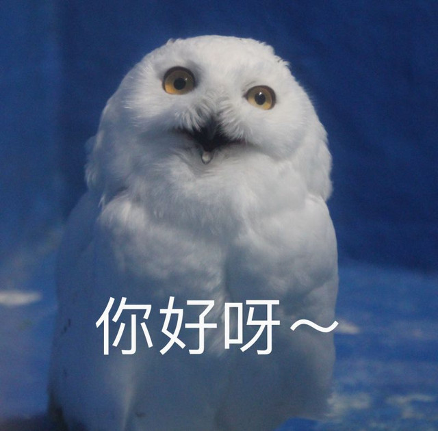 四川居然有一片蓝色海洋,成都蓝色海洋