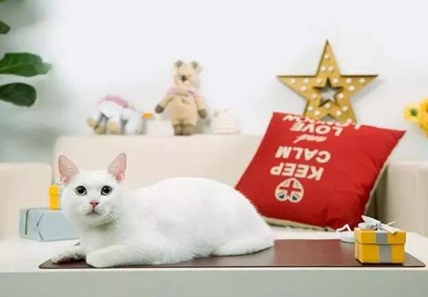 30秒让你的桌子热起来，打字再也不冻手了！