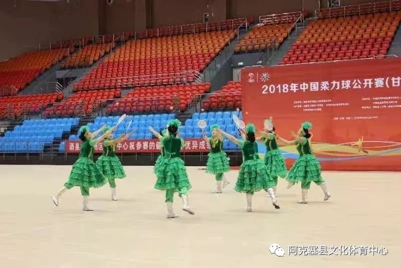 综合性体育赛事,全国综合体育赛事