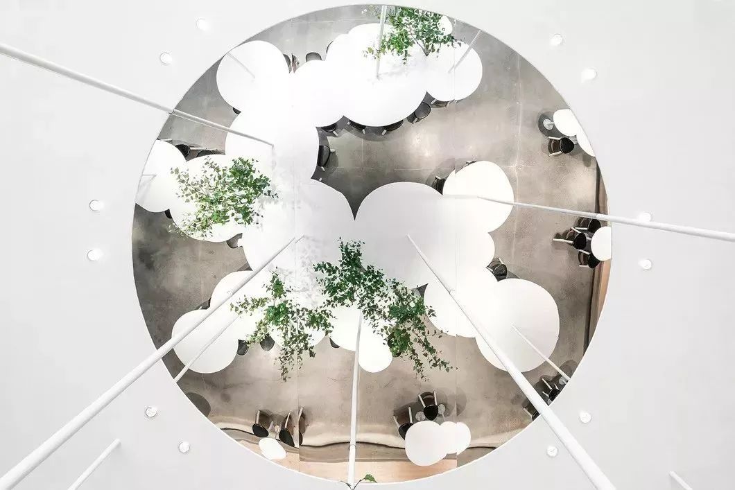 网红茶叶第一茶,抖音喝茶第一人