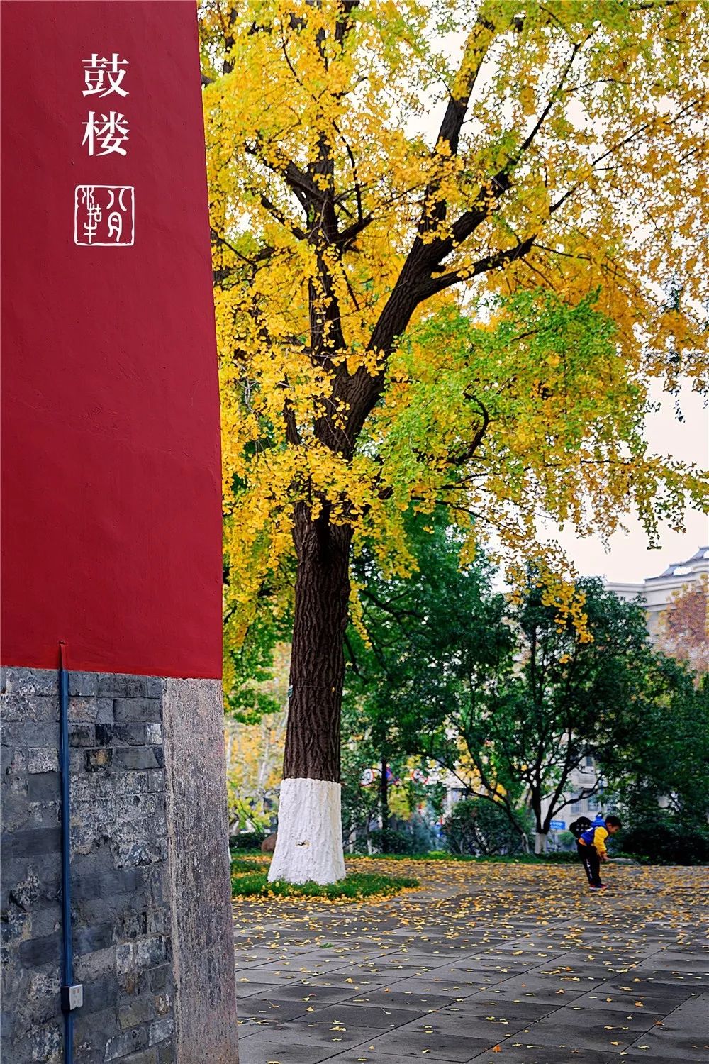 鼓楼70岁的老人免费吗,鼓楼60岁以上老人免票吗