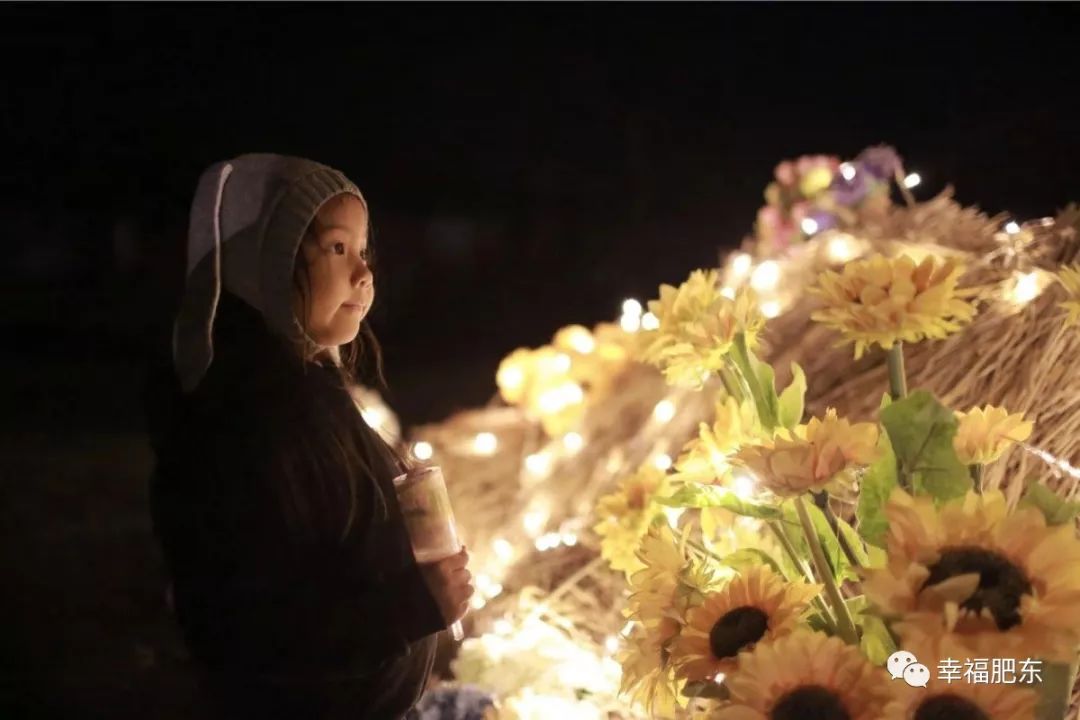 美哭！咱肥东这里竟藏着一处“秘境”，很多人都不知道……