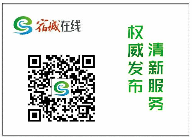 宿城有哪些学校,宿城区学校有哪些