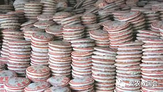 微生物跟酒有什么关系,哪种微生物参与黑茶