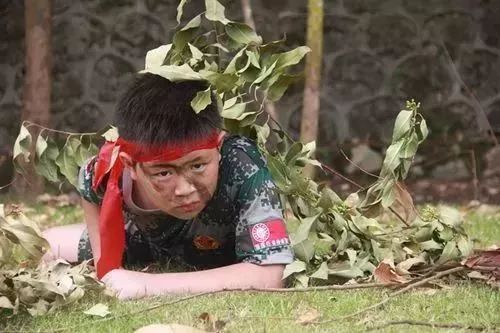 东莞报业夏令营,东莞雏鹰少年夏令营多少钱