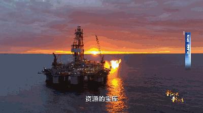 新时代新山东第八集,新时代新山东纪录片