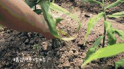 冬日温暖的记忆,冬日暖心的记忆