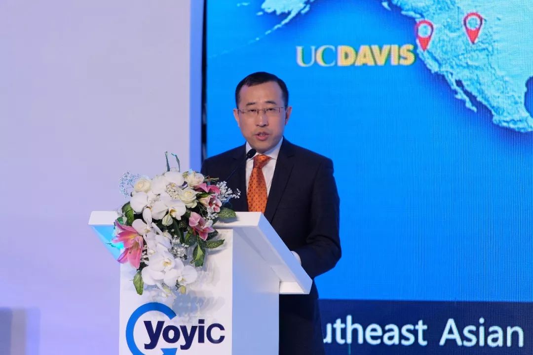 超市里都会有的牛奶有哪些,超市里都有哪些牛奶