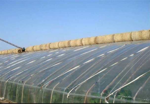 高锰酸钾的疗效,高锰酸钾能防小麦条锈病吗