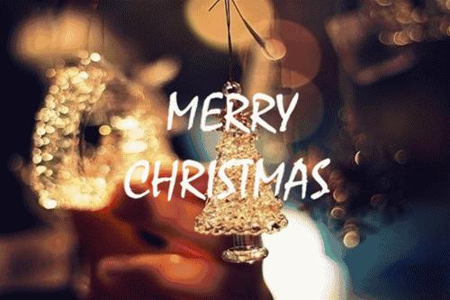 天,这个66团100的现金券,击中了我的钱包!还有11.1元秒杀……