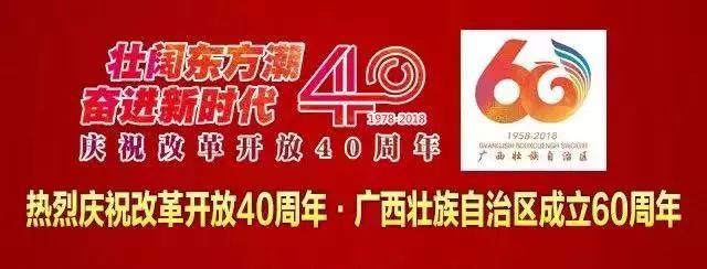 好消息！12306推重磅购票功能，准备抢春运车票的玉林人速看