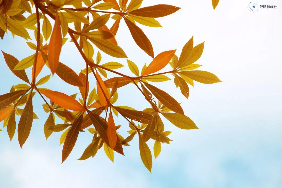 盘点那些美丽的校园时光,盘点那些美丽的校园