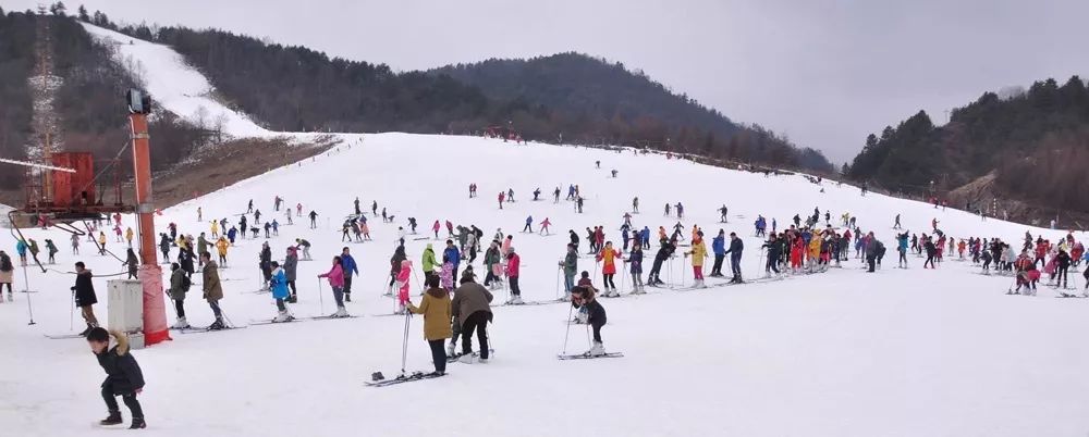 神农架国际滑雪场今日雪况,神农架滑雪场周末攻略