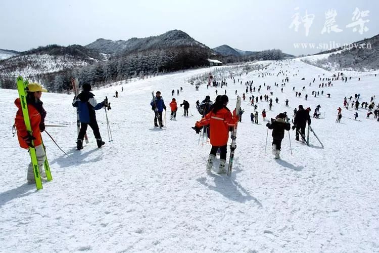 神农架国际滑雪场今日雪况,神农架滑雪场周末攻略