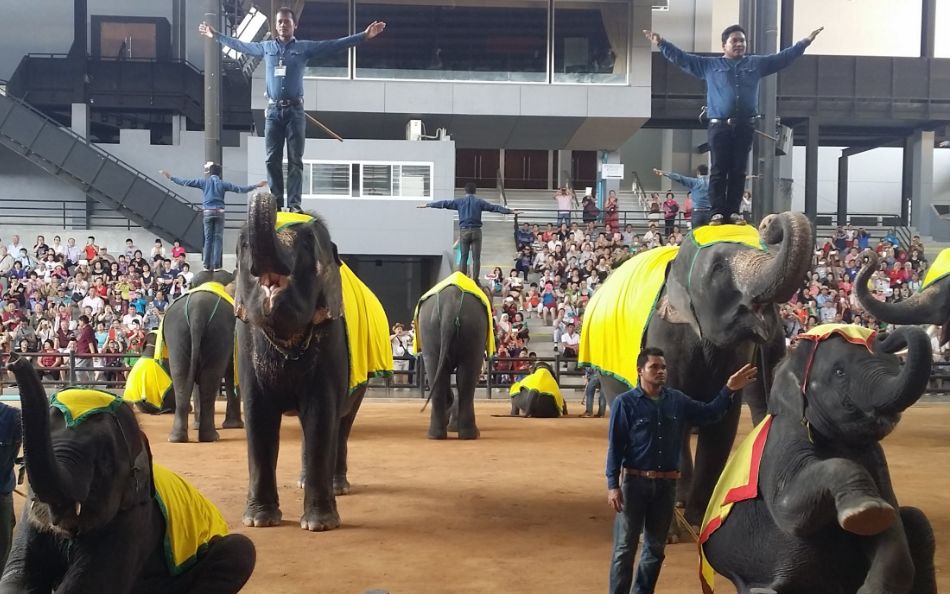「泰国尊享6日之旅」泰国将实行为期2个月的落地签免费政策，有计划去泰国旅游的朋友快快行动吧