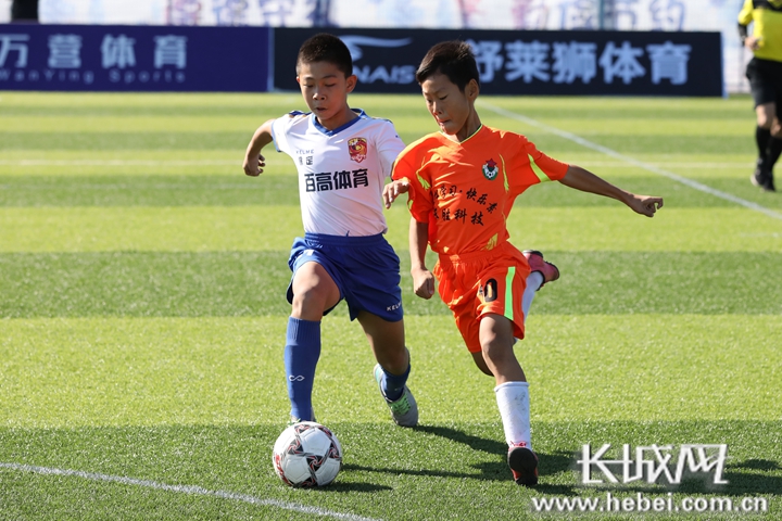 足球之夜河北足球,世界足球日广播稿