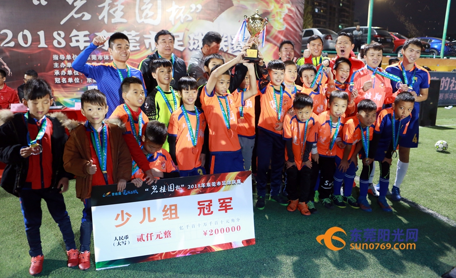 东莞足球联赛结果公布了吗,2018东莞市足球联赛