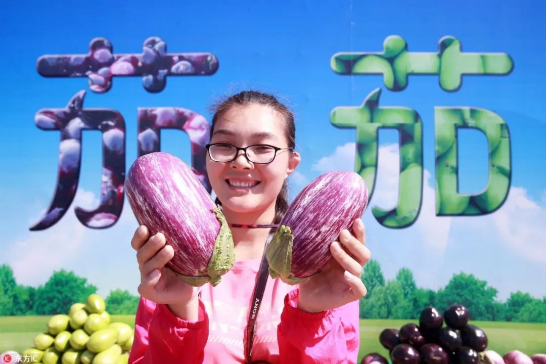 农业部辟谣关于转基因农作物,农业部关于转基因最新回应