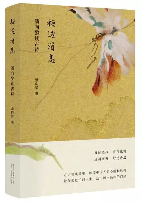 商务君书籍推荐,商务君的书