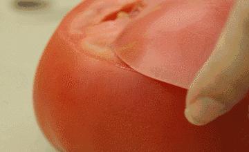 什么刀型好用又实用,一把好刀的标准是什么