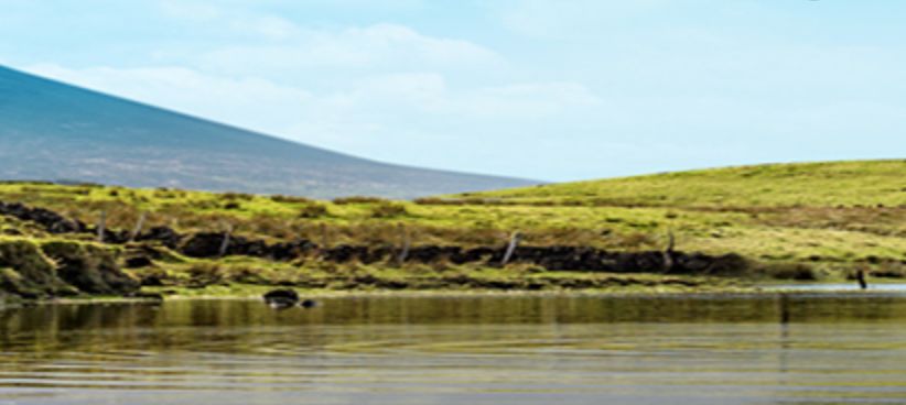 每个妈妈都值得被温柔对待,生活的意义就是让妈妈轻松一点