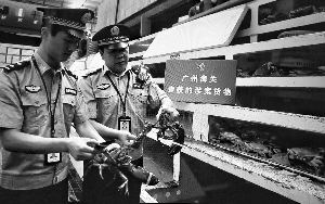 当心你的手机号码被冒用,小心你的身份信息为他人背锅