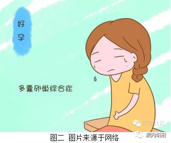 院内制剂｜多卵巢综合症，女性怀孕的拦路虎！这款院内制剂来帮您