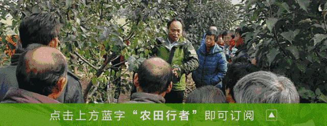 哪些肥料是假的,复合肥没标执行标准的是假肥吗