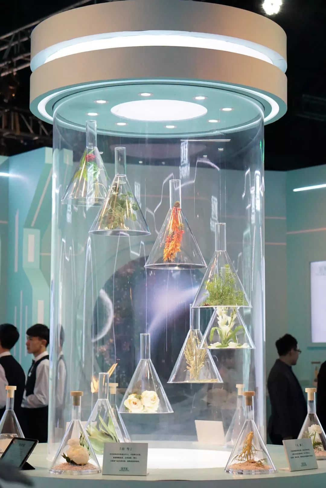 鲜货｜“鲜女”当道，全靠这些来续美