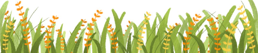 【独家重磅】北京师范大学-香港浸会大*联学**合国际学院：粤港澳大湾区高等教育合作的先行者