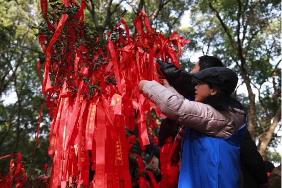 冬天没个好玩的地方,冬天没有好玩的该玩什么